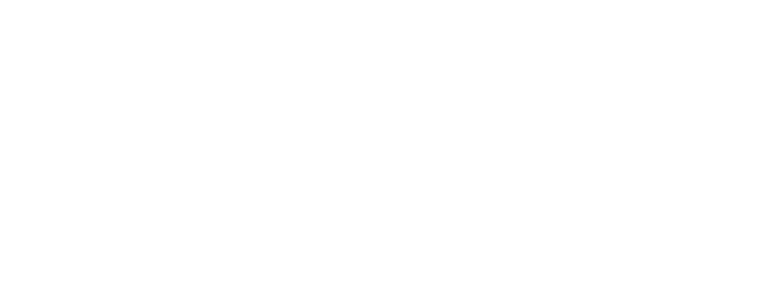 Primo Conseil